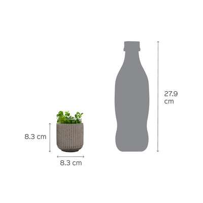 Lipy Multi-Purpose Jar White