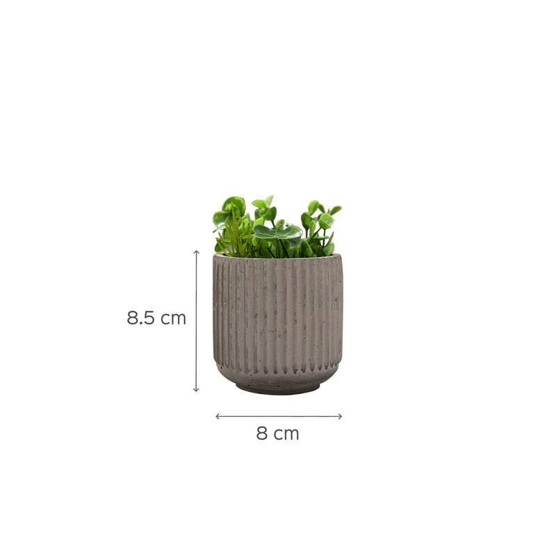 Lipy Multi-Purpose Jar White