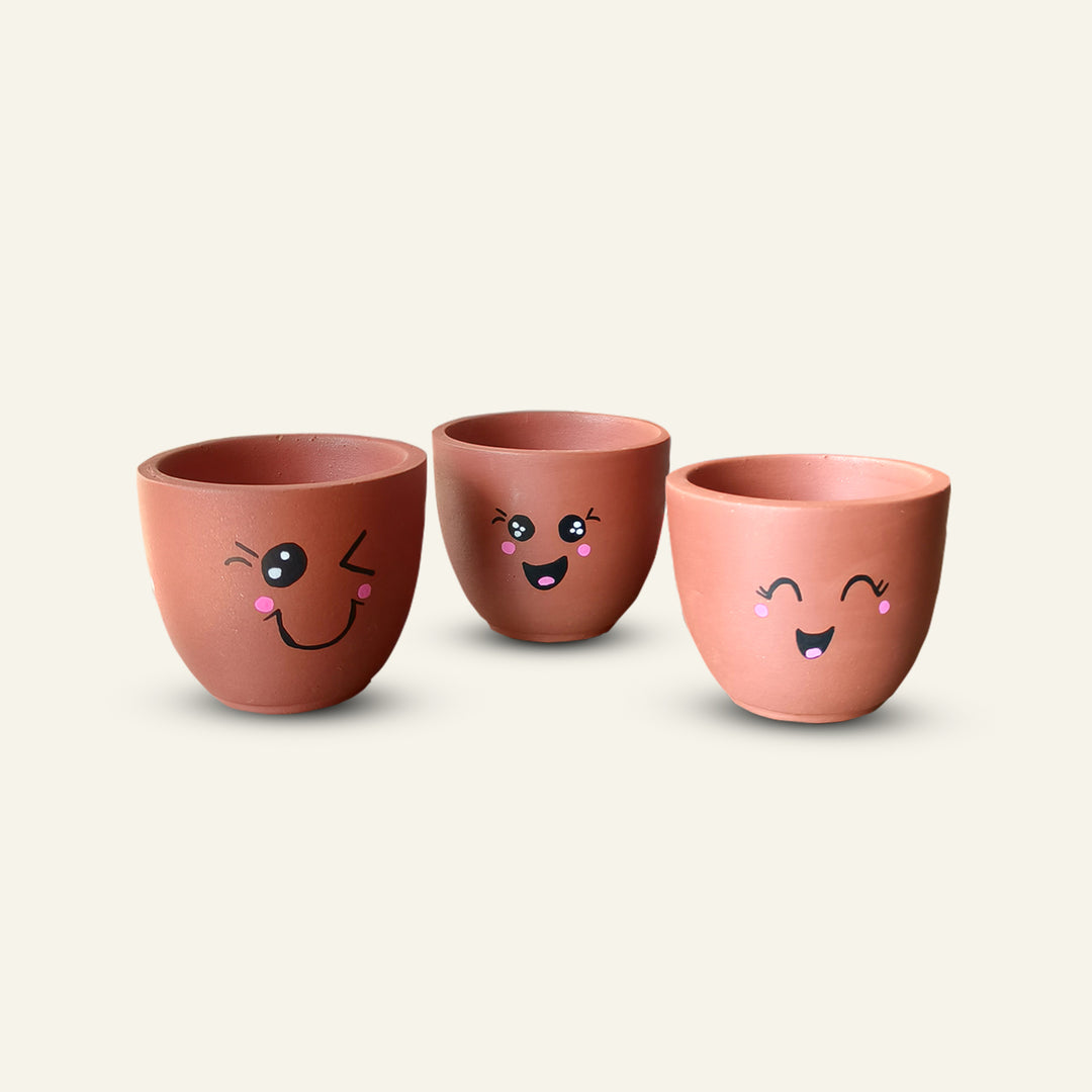 Handpainted Terracotta Emoji Planter Pot (Set of 3)
