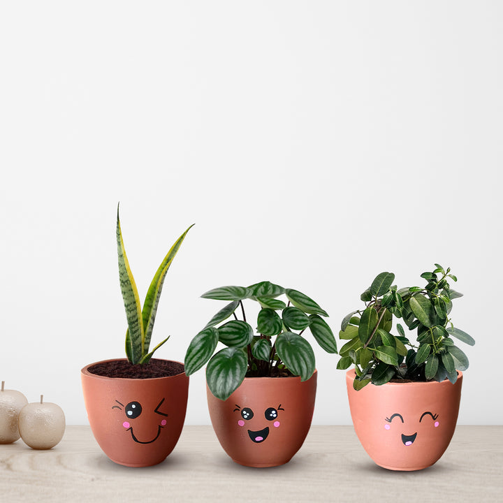 Handpainted Terracotta Emoji Planter Pot (Set of 3)