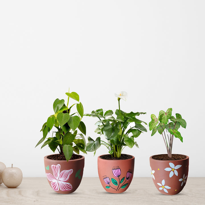 Handpainted Terracotta Flower Pop Planter Pot (Set of 3)