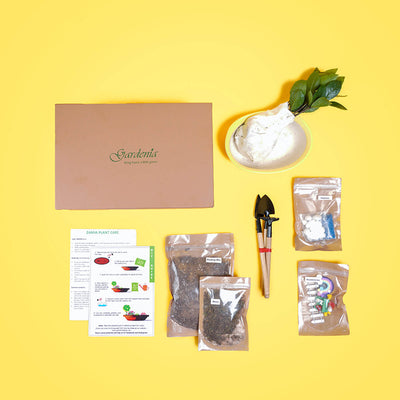 Girl & Rainbow Miniature Kit with Plant