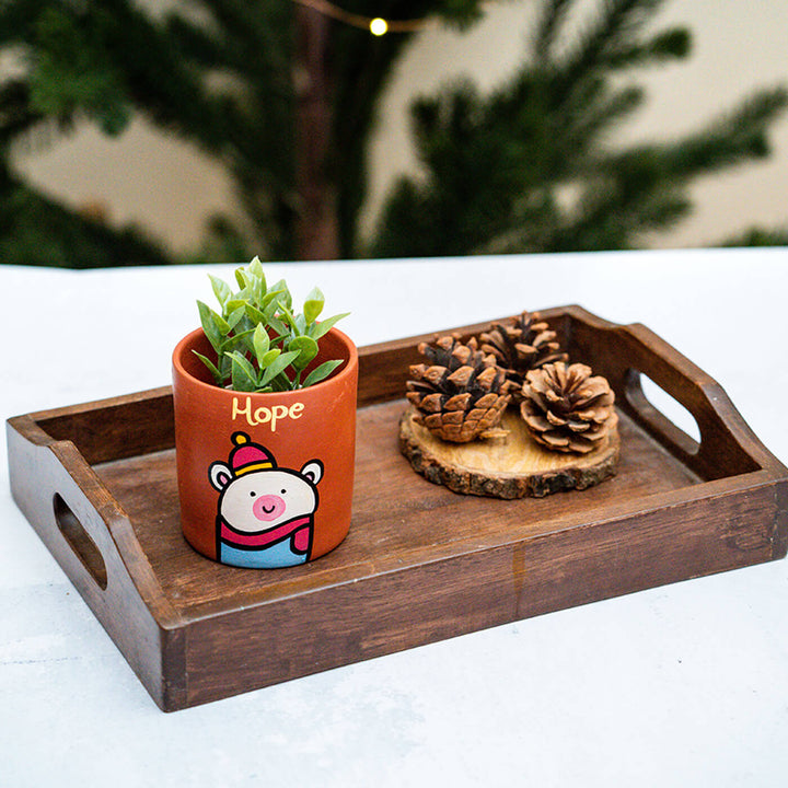Terracotta Handmade Christmas Planter