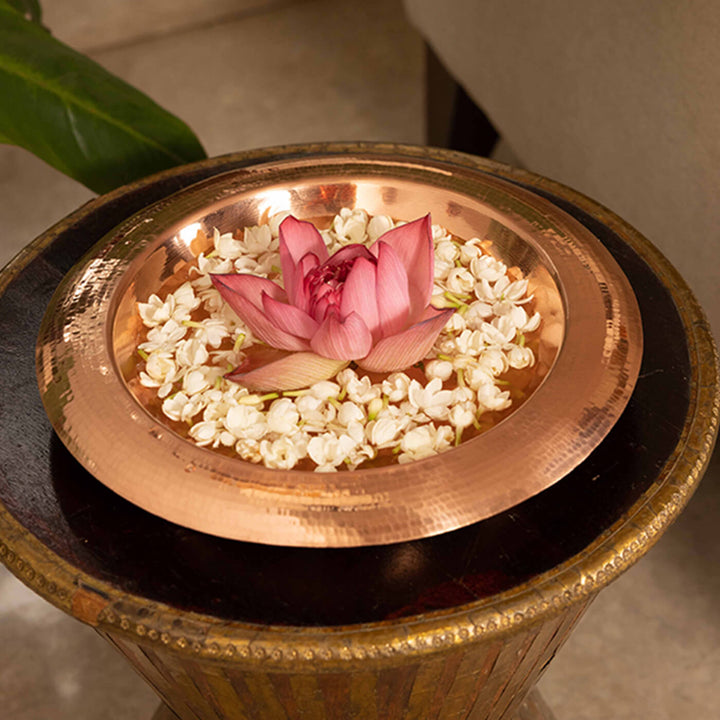 Konkan Copper Urli