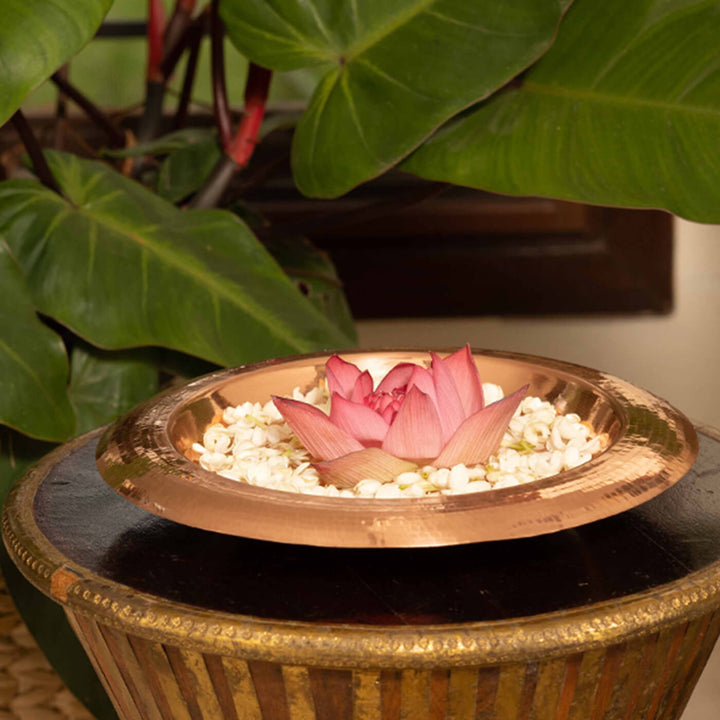 Konkan Copper Urli