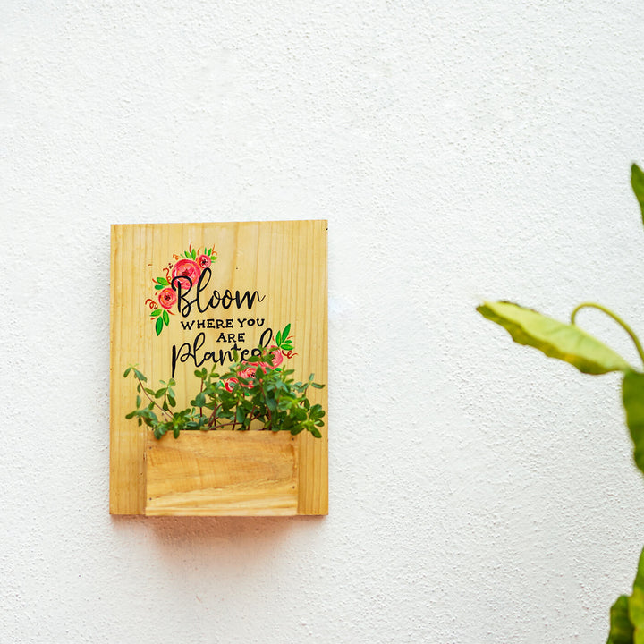 Handpainted Wooden Planter Board Decor