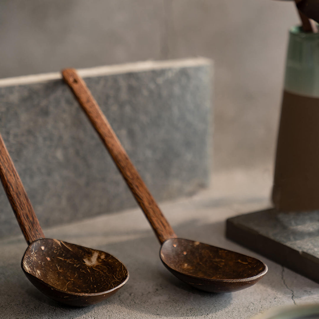 Coconut Shell and Wood Serving Spoons - Set of 2