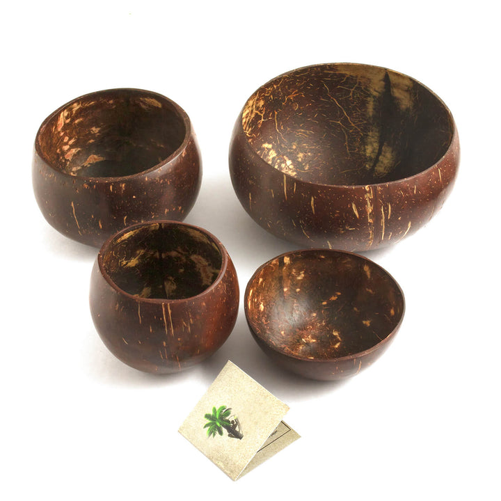 Coconut Shell Bowls - Set of 4