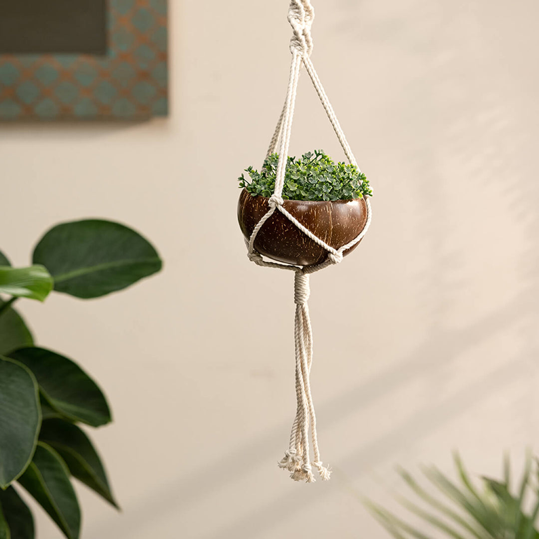 Coconut Shell Macrame Plant Hanger