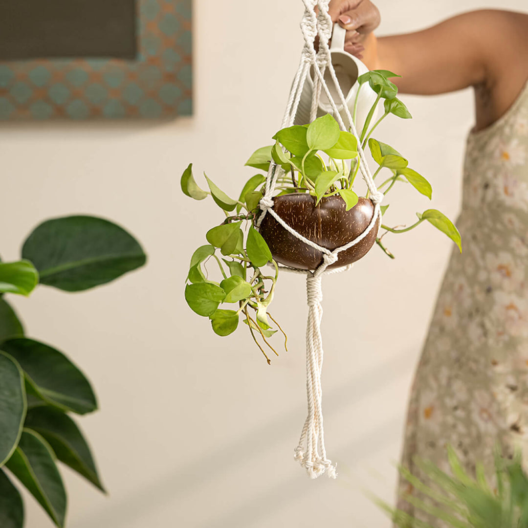 Coconut Shell Macrame Plant Hanger