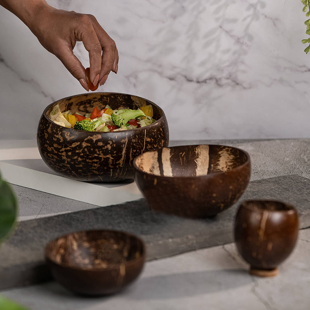 Coconut Shell Bowls - Set of 4
