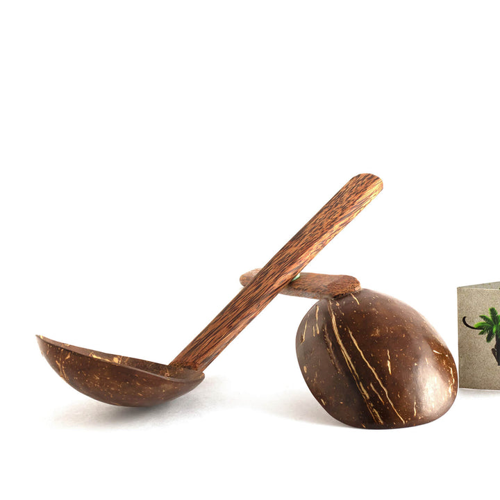 Coconut Shell and Wood Serving Spoons - Set of 2