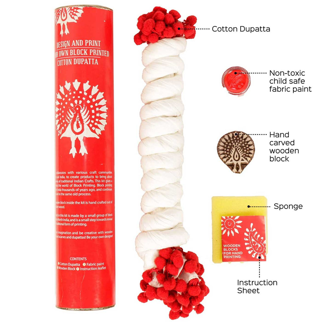 Dupatta Block Print DIY Kit