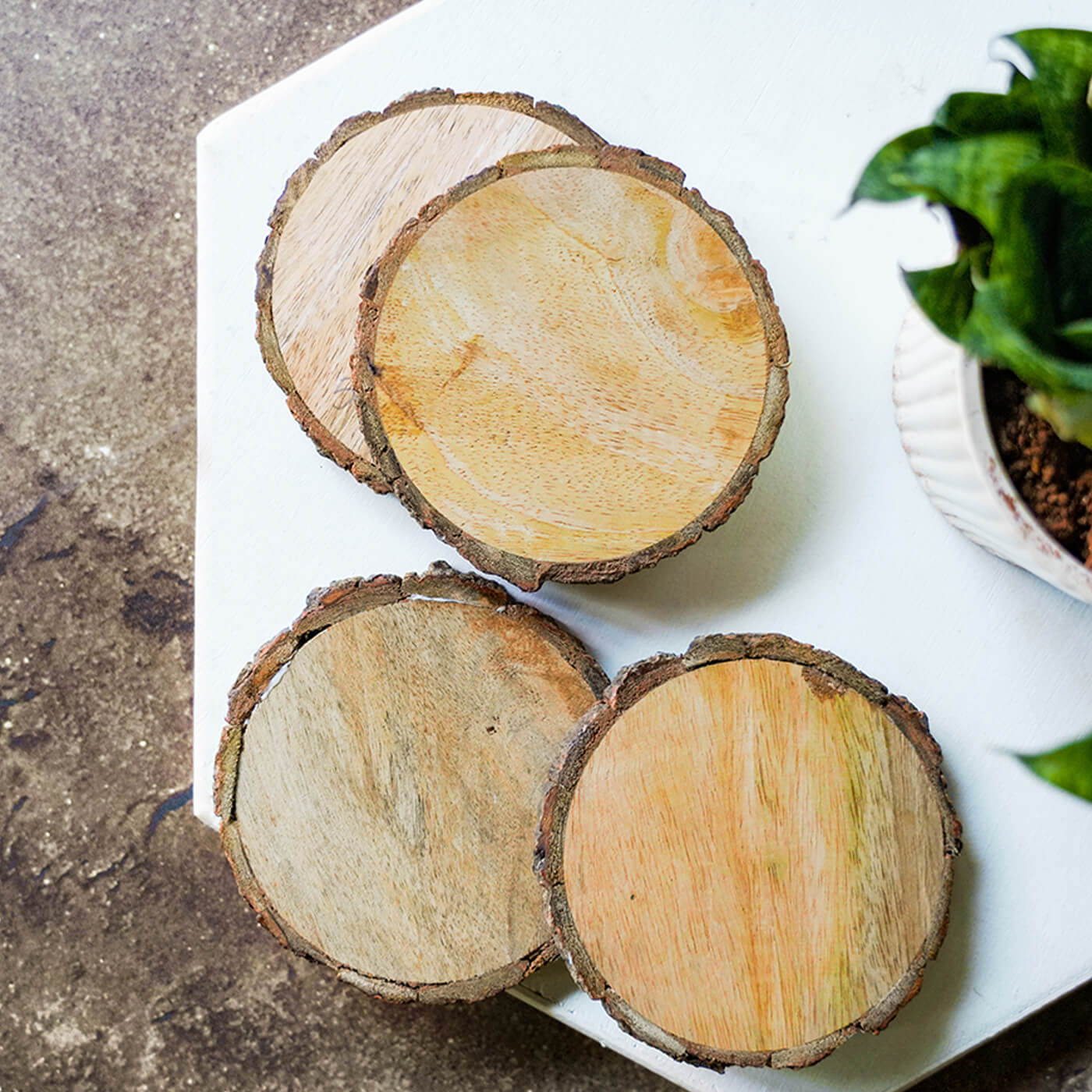 Buy Ready to Paint Bark Coasters Online On Zwende