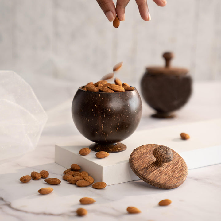 Coconut Shell Container with Lid and Spoon