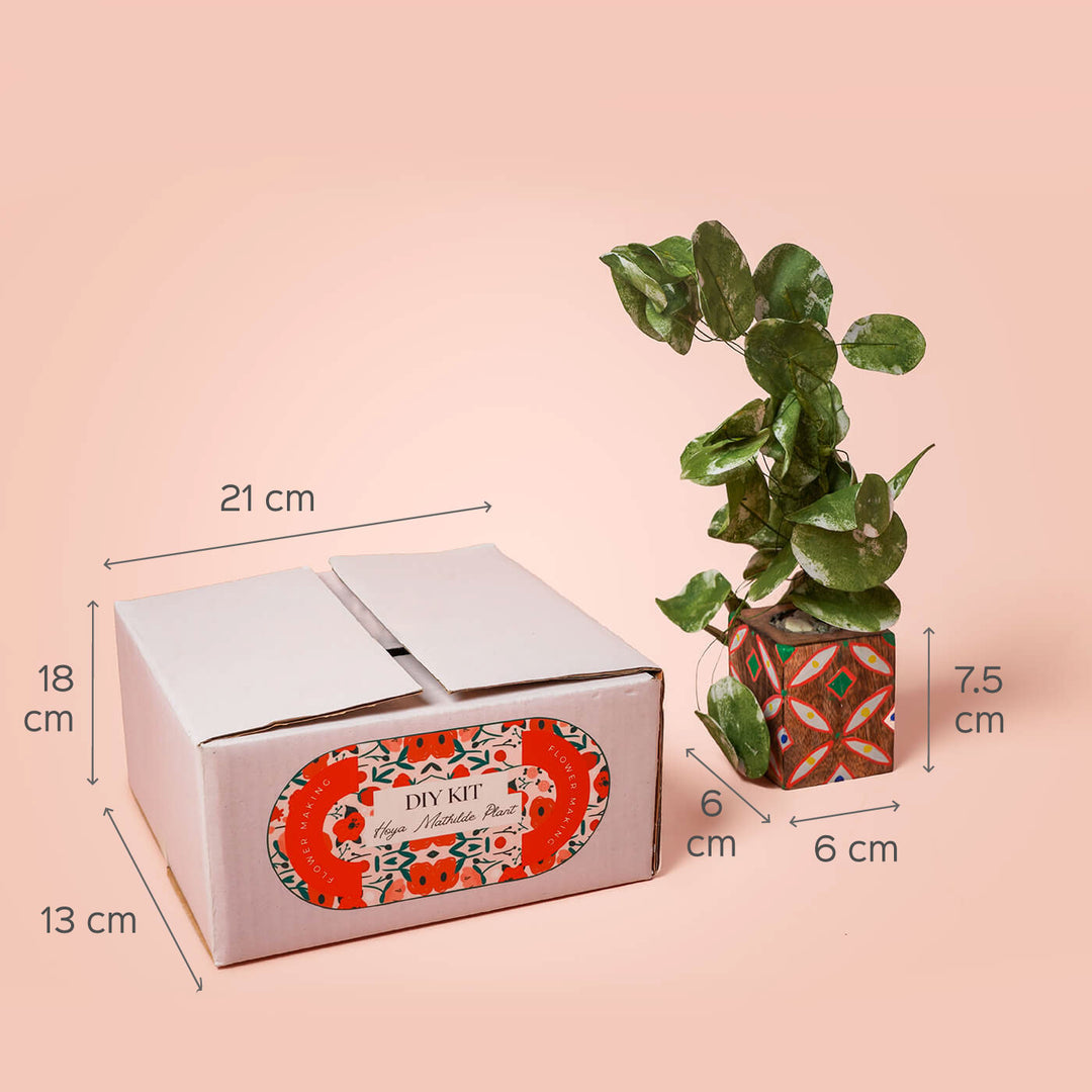 Paper Plant Making DIY Kit