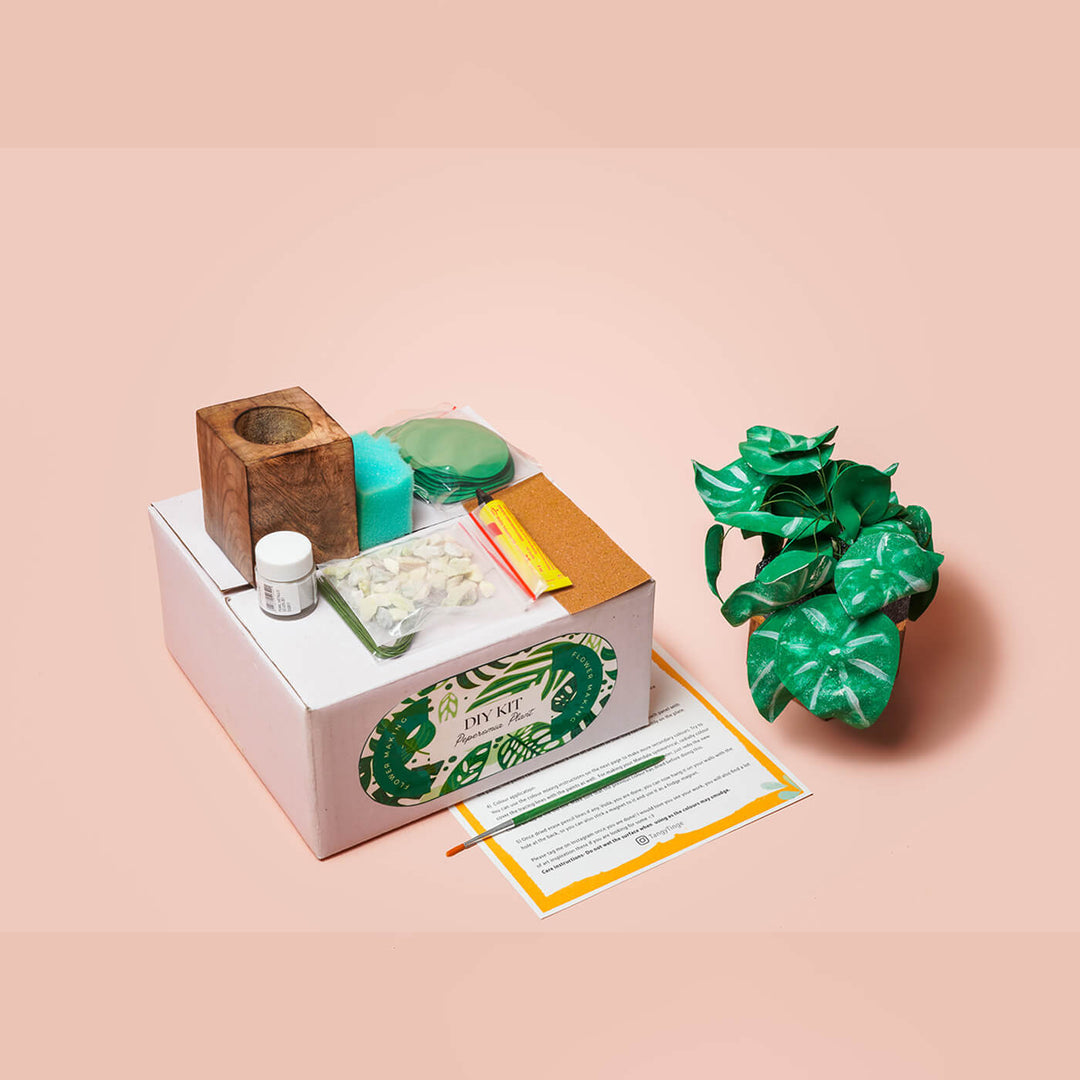 Paper Plant Making DIY Kit