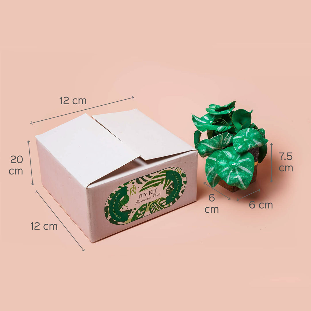 Paper Plant Making DIY Kit