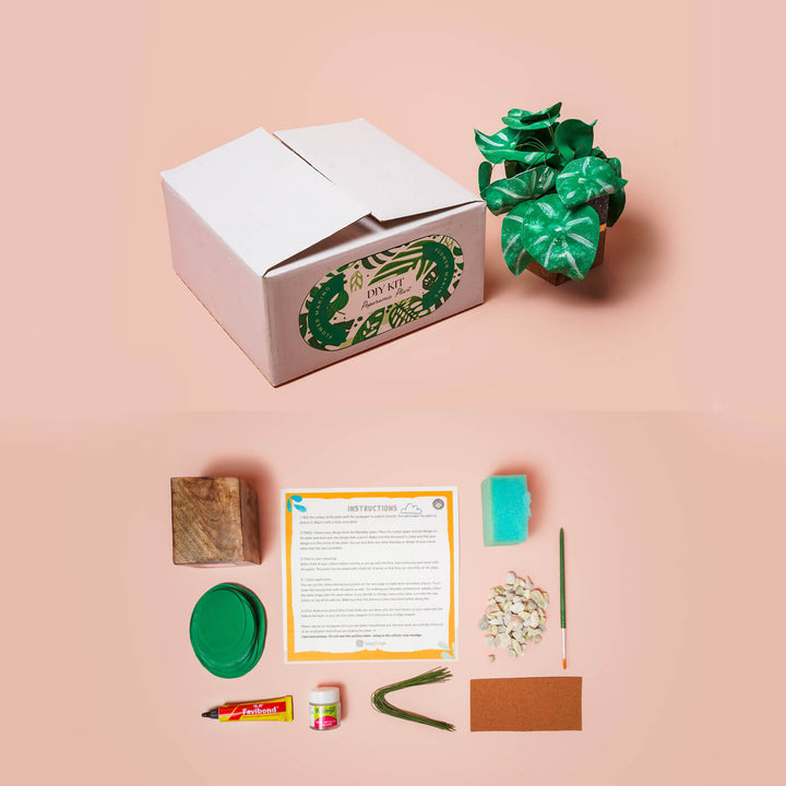 Paper Plant Making DIY Kit