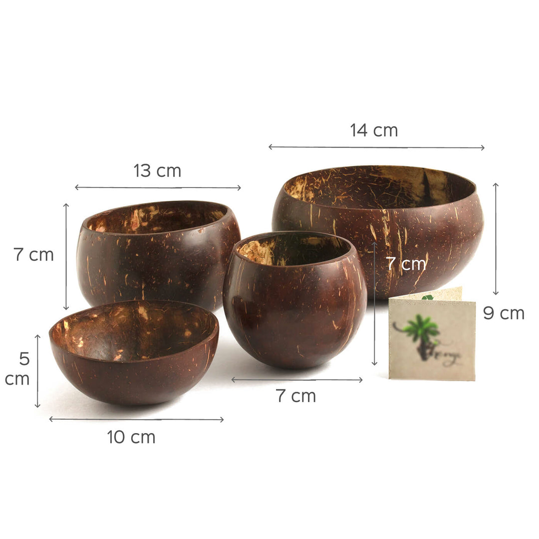 Coconut Shell Bowls - Set of 4