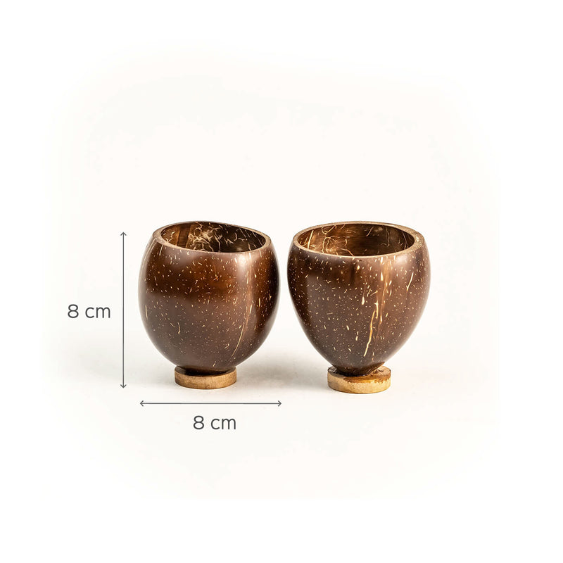 Coconut Cup for Beverages - Set of 2
