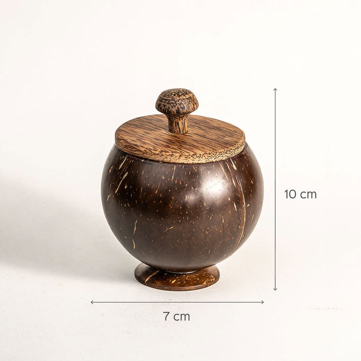 Coconut Shell Container with Lid and Spoon