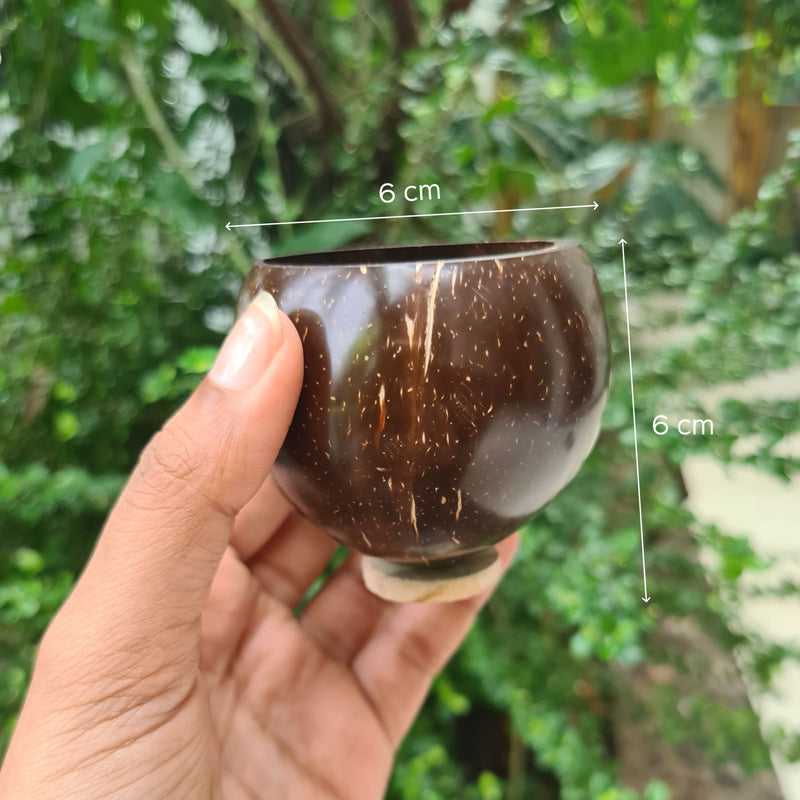 Coconut Shell Shot Glasses - Set of 4