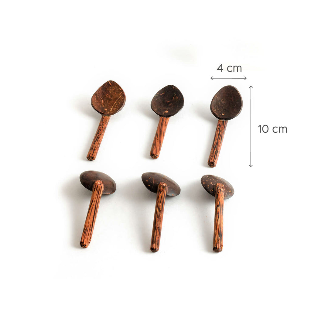 Coconut Shell Masala Spoons - Set of 6