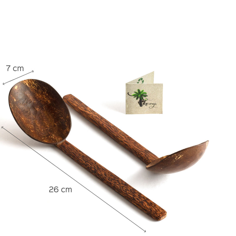 Coconut Shell and Wood Serving Spoons - Set of 2