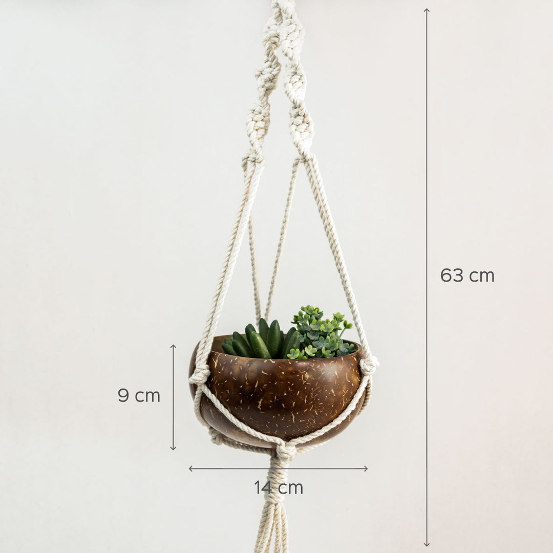 shell macrame plant hanger Buy Coconut Shell Macrame Plant Hanger Online On Zwende
