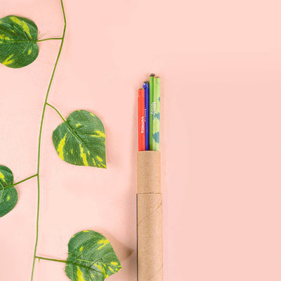 Plantable Seed Pencil Set 4