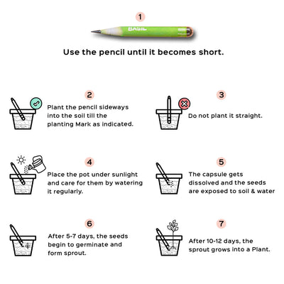 Plantable Seed Pencil Set 4