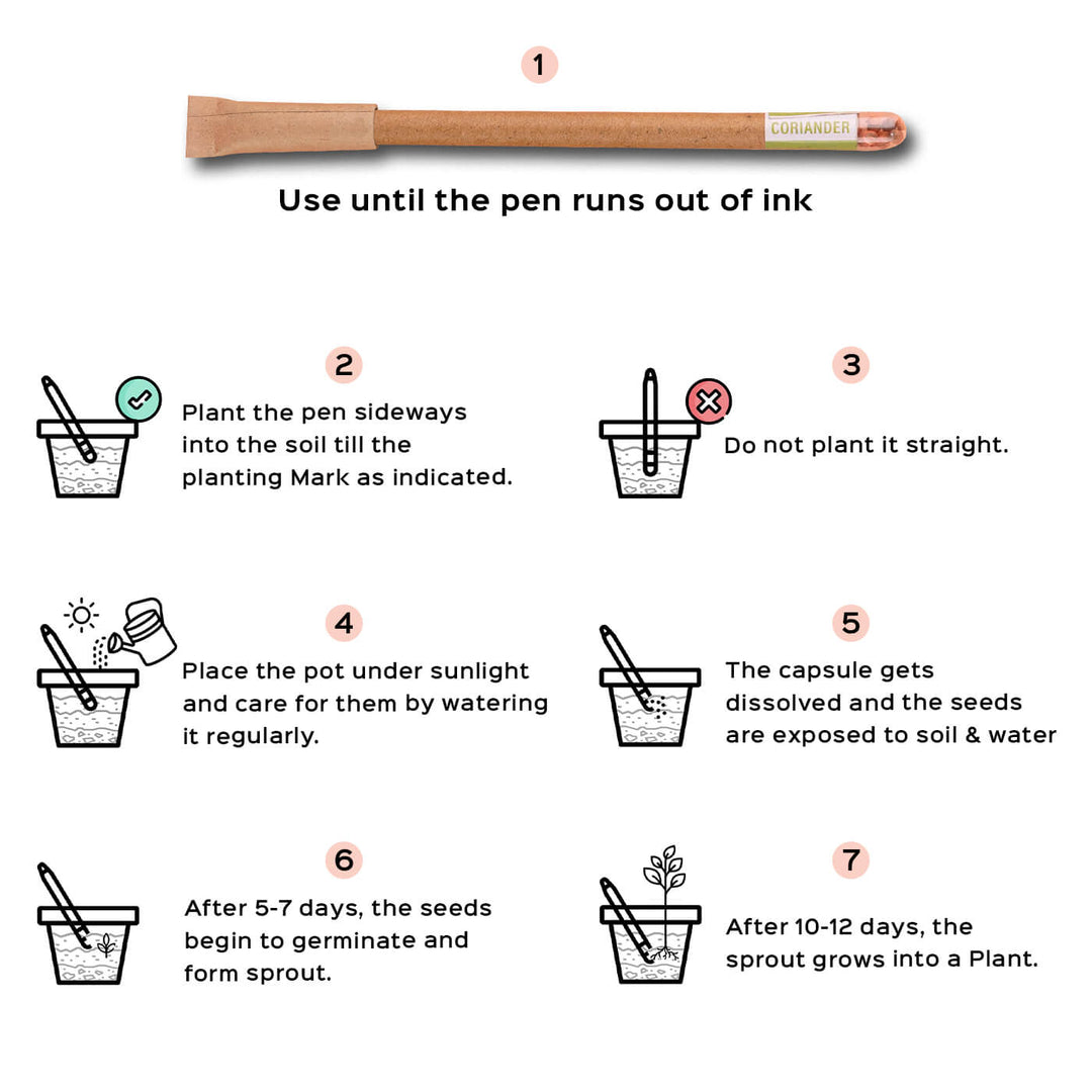 Plantable Seed Pen Set Of 3