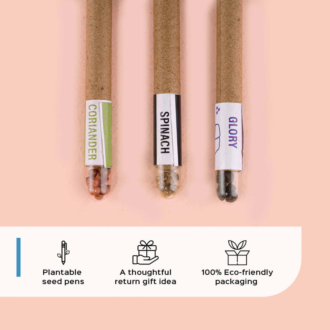 Plantable Seed Pen Set Of 3