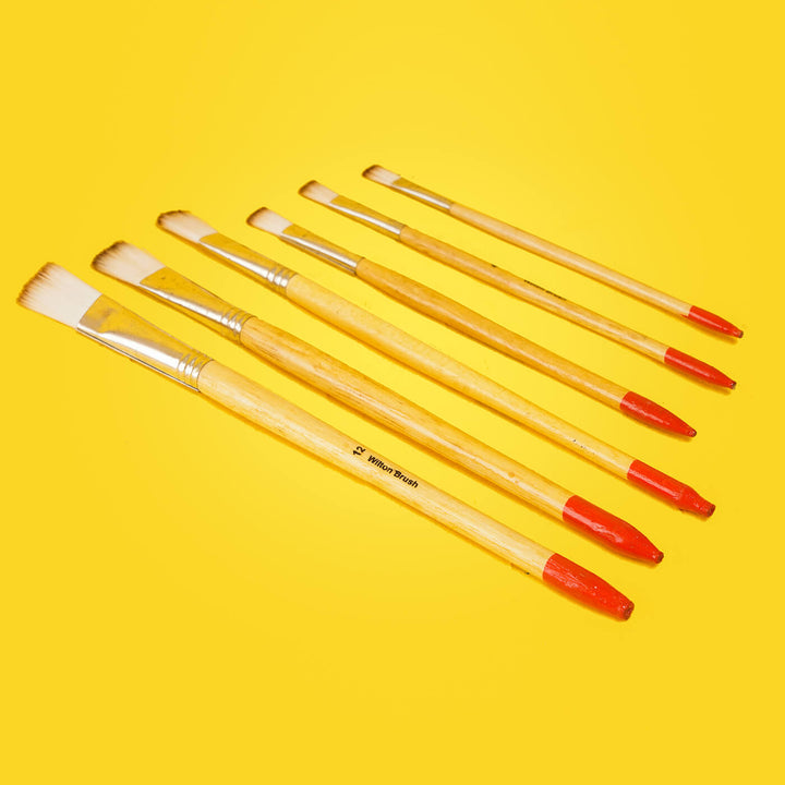 Professional Paint Brushes - Set of 6 - Zwende