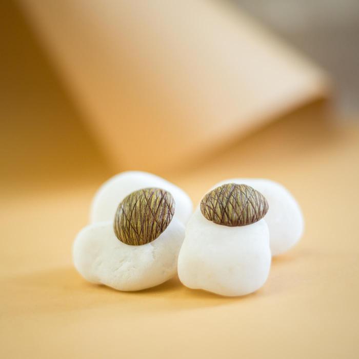 Papier-Mache Earrings - Studs - Brown Segmental Dome