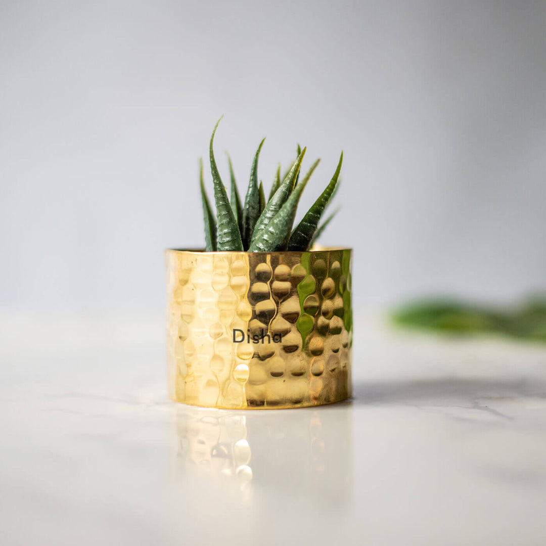 Personalized Brass Cup Planter - Hammered