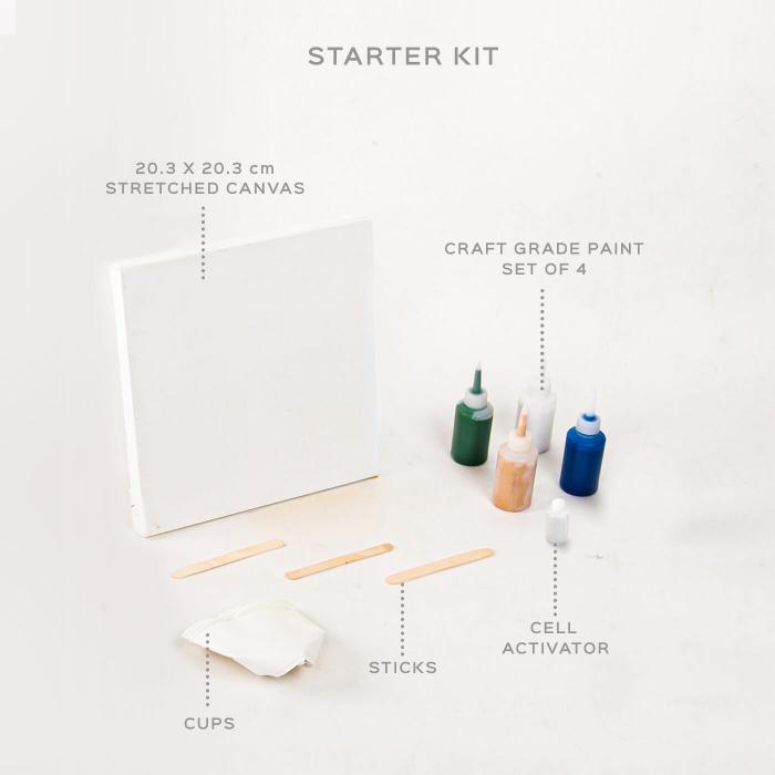 Basic Acrylic Pour DIY Kit - Medium Canvas